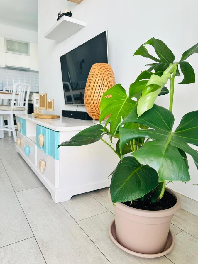 Casa Adelfa Lejlighed Puerto del Carmen  Eksteriør billede