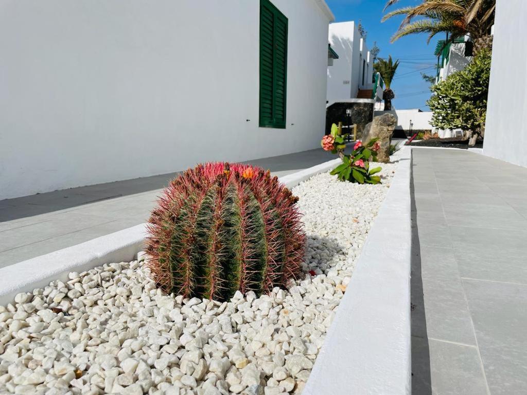 Casa Adelfa Lejlighed Puerto del Carmen  Eksteriør billede